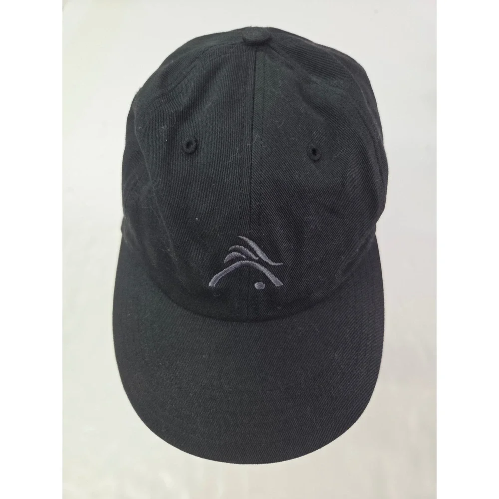 Richardson Model R65 Hat Mens OSFM Black Cotton Embroidered Dad Cap Aviagen Logo